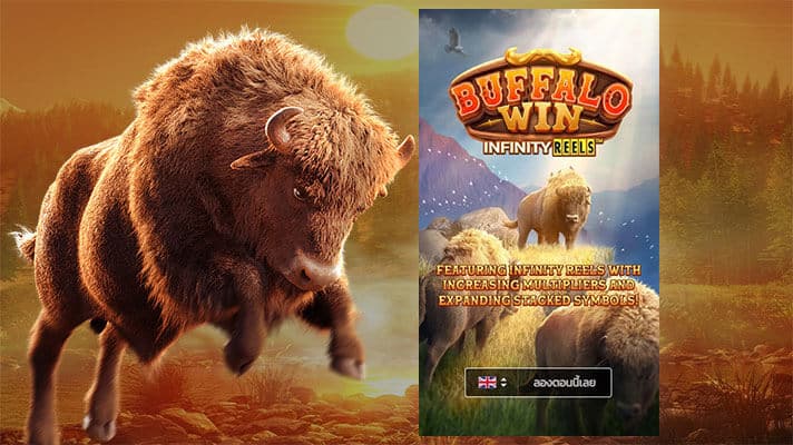 รีวิวเกมสล็อต Buffalo Win