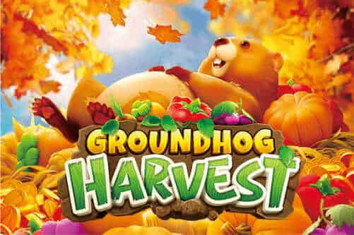 รีวิวเกมสล็อต Groundhog Harvest