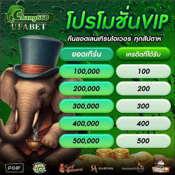 chang 668 สล็อต
