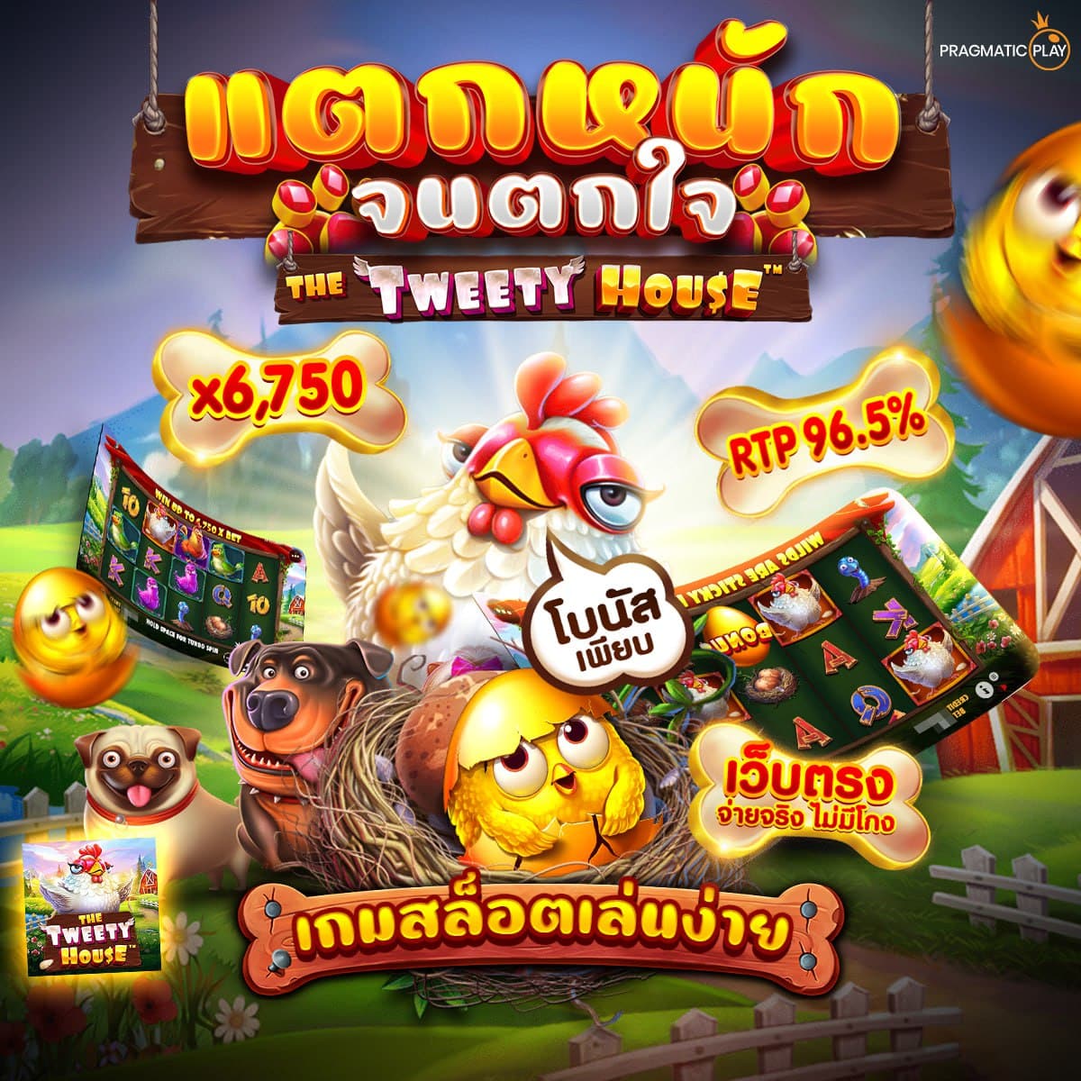 สล็อตไก่ไข่